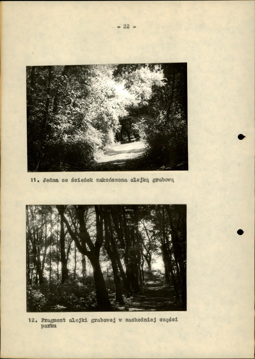 Ewidencja parkowa, skan nr 29