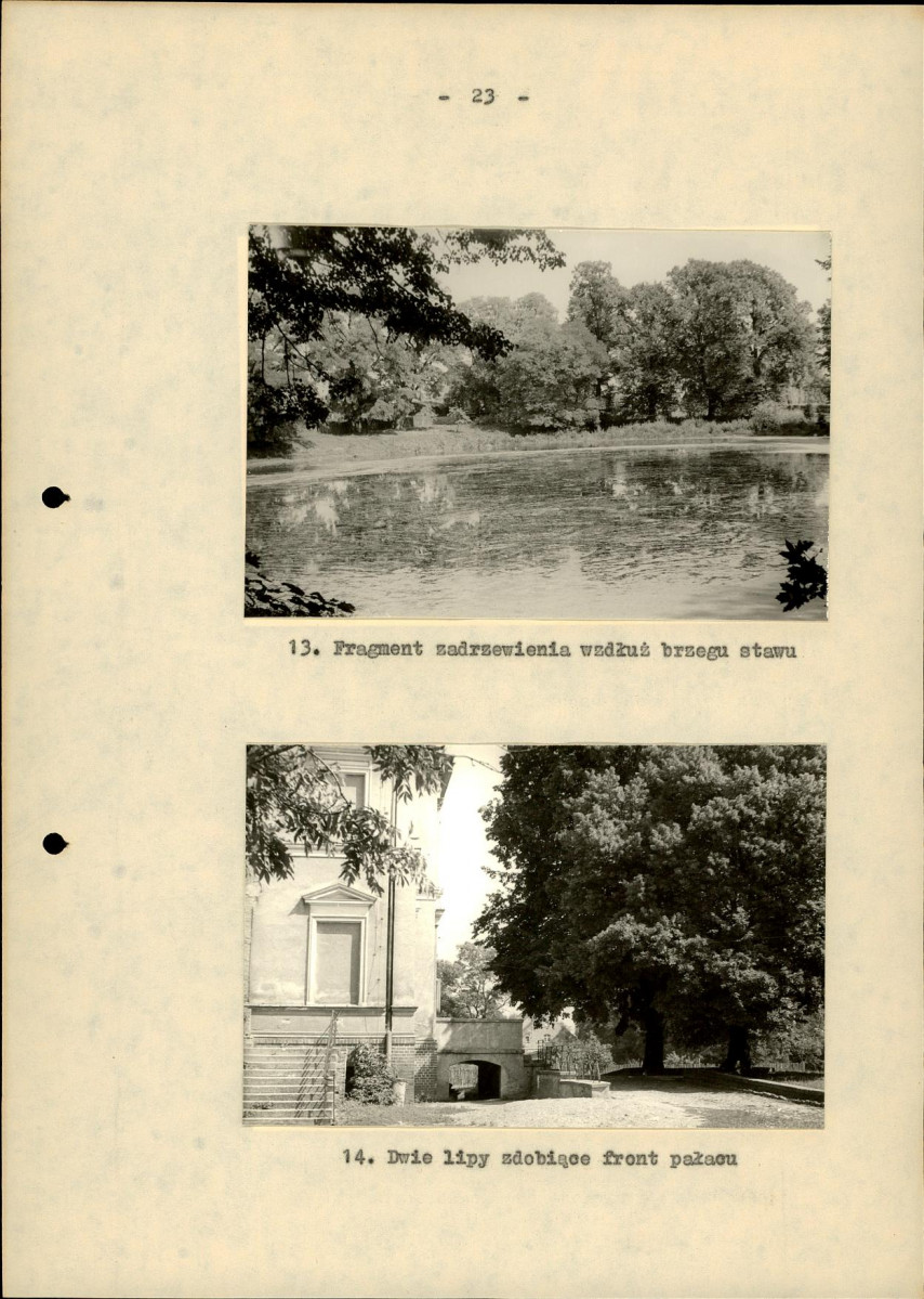 Ewidencja parkowa, skan nr 30