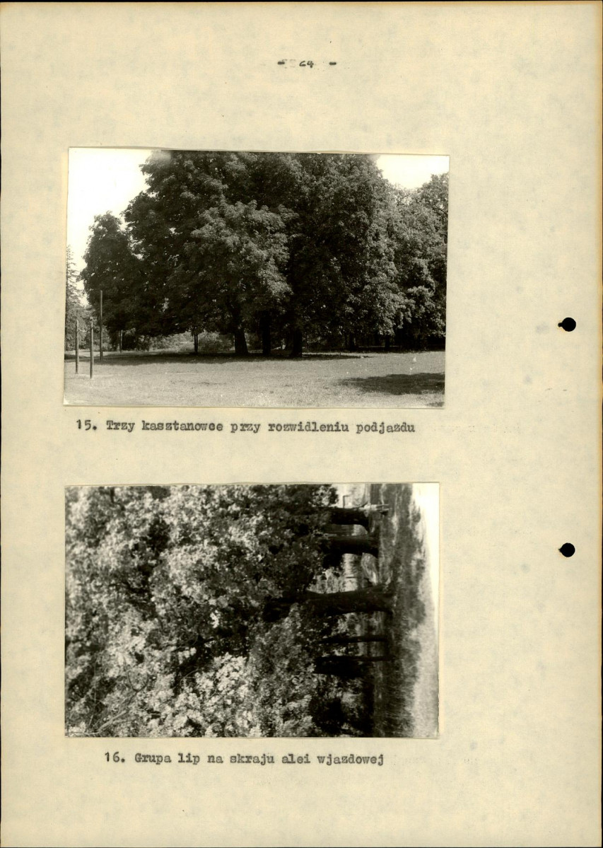 Ewidencja parkowa, skan nr 31