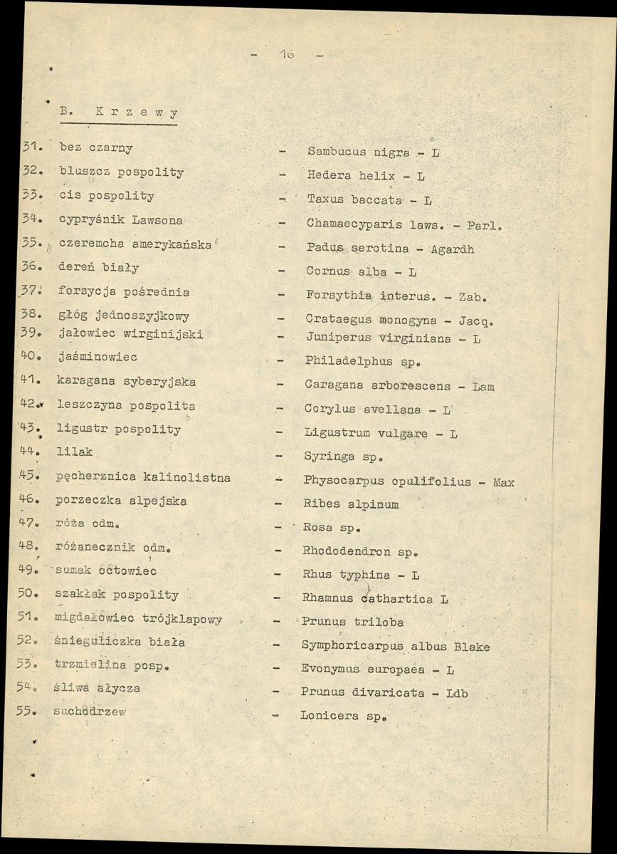 Ewidencja parkowa, skan nr 22
