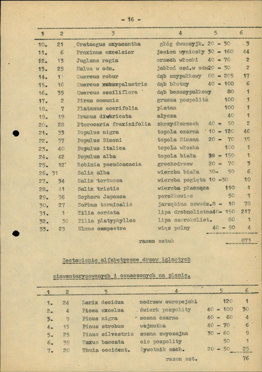 Ewidencja parkowa, skan nr 24