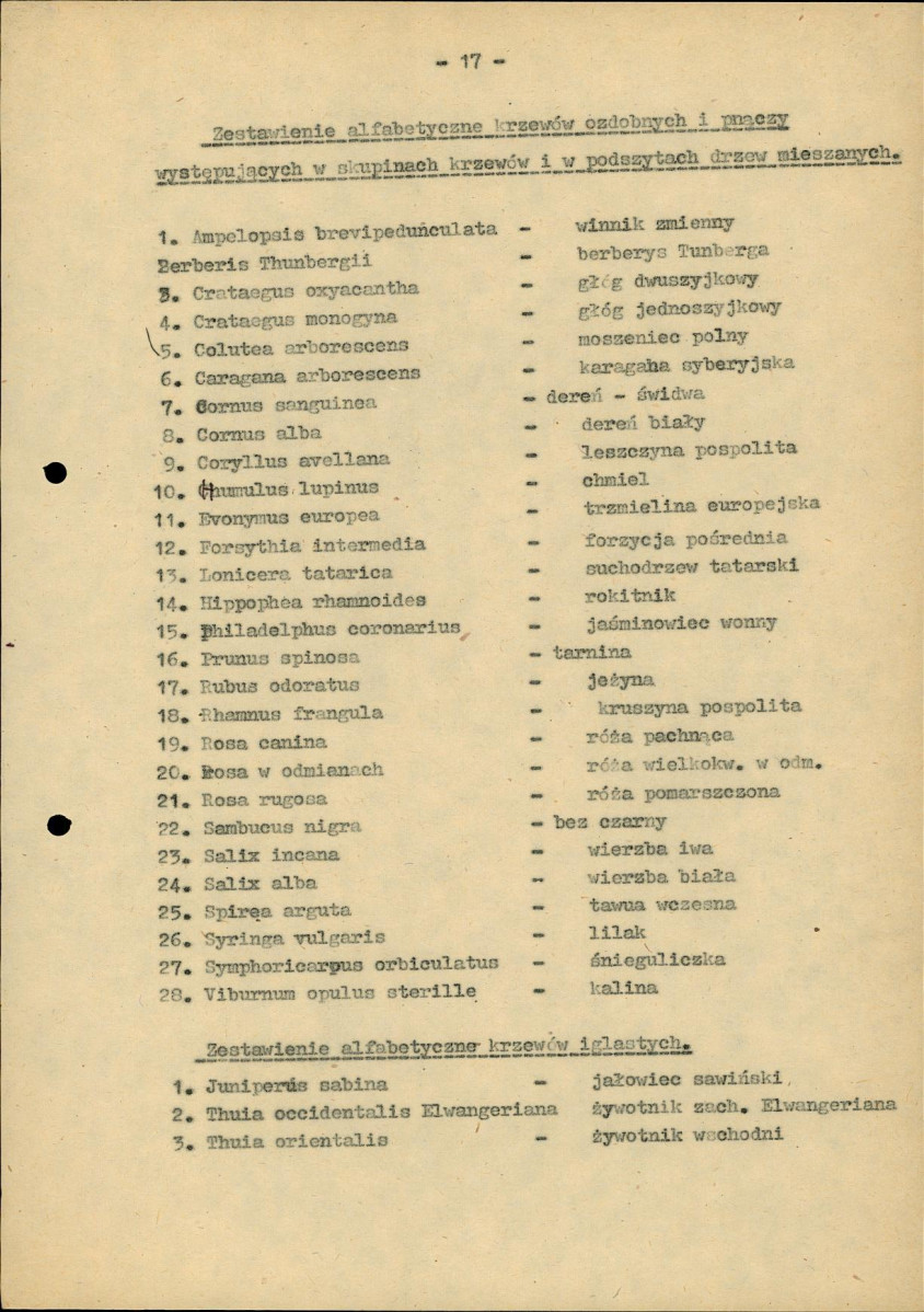 Ewidencja parkowa, skan nr 25