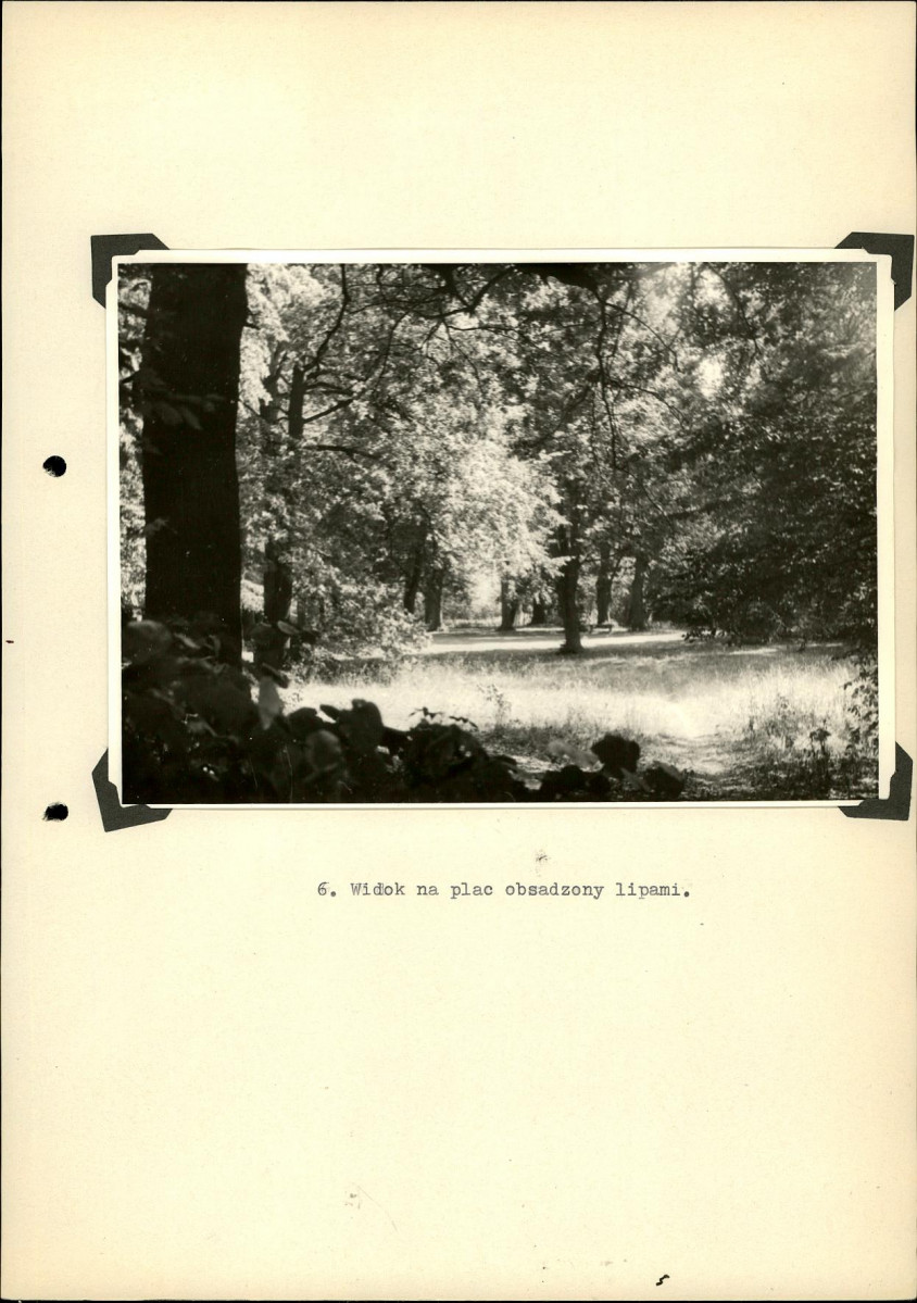 Ewidencja parkowa, skan nr 34