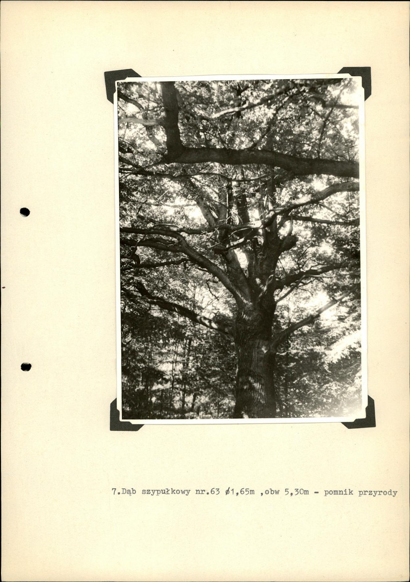 Ewidencja parkowa, skan nr 35