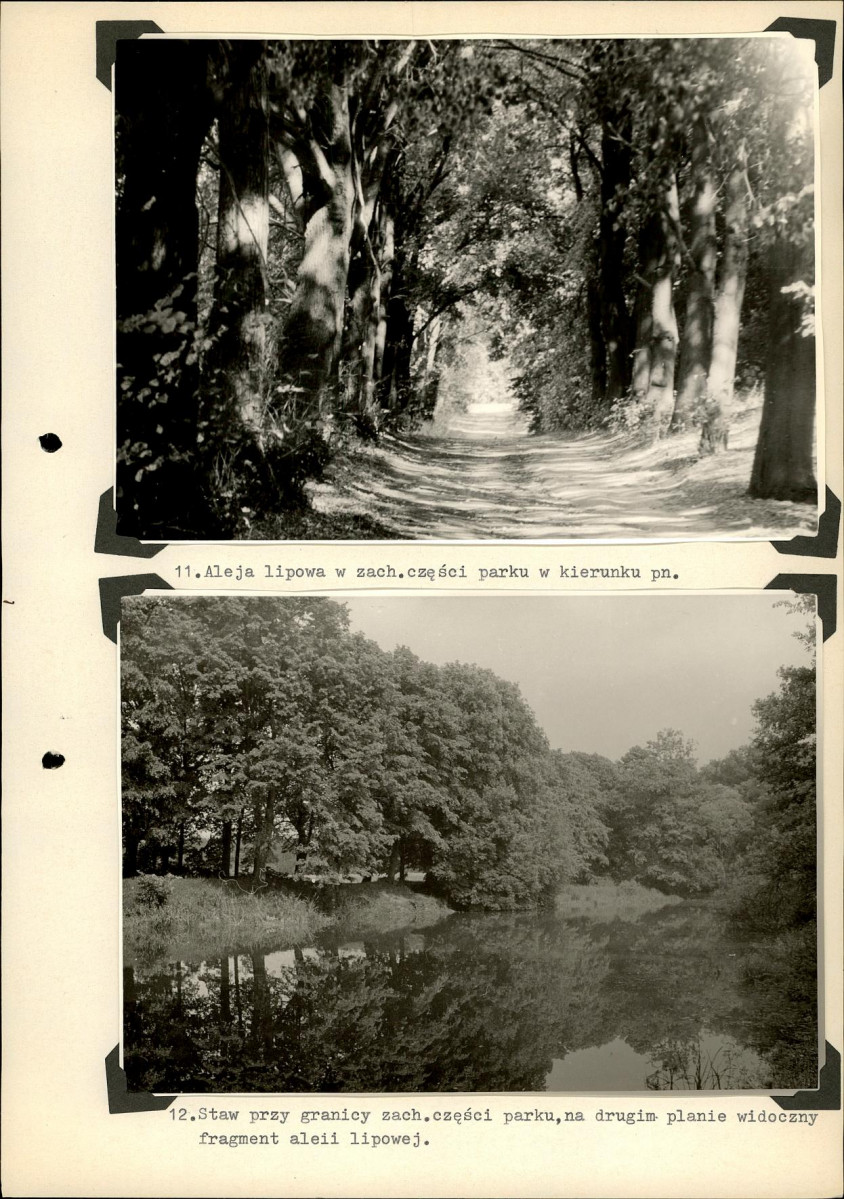 Ewidencja parkowa, skan nr 39