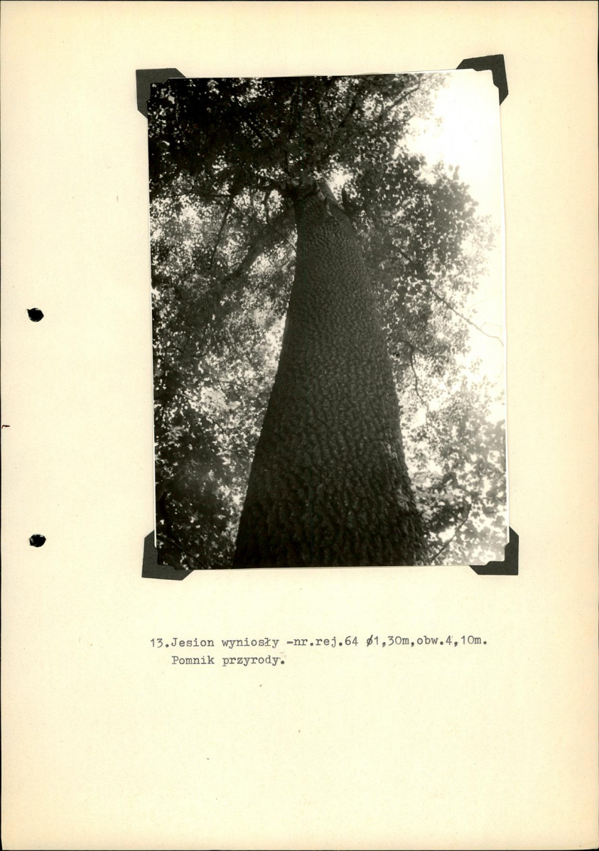 Ewidencja parkowa, skan nr 40