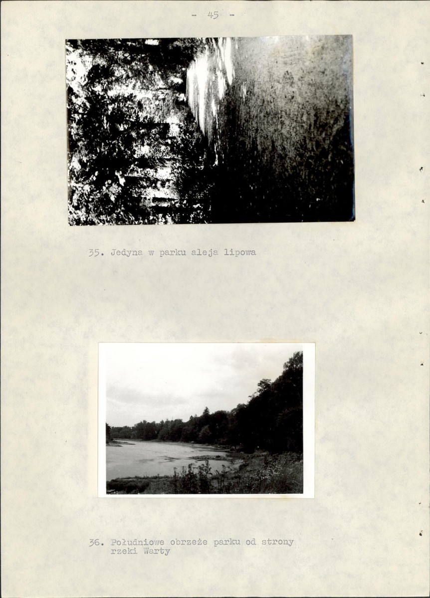 EP - Ewidencja parkowa, skan nr 52