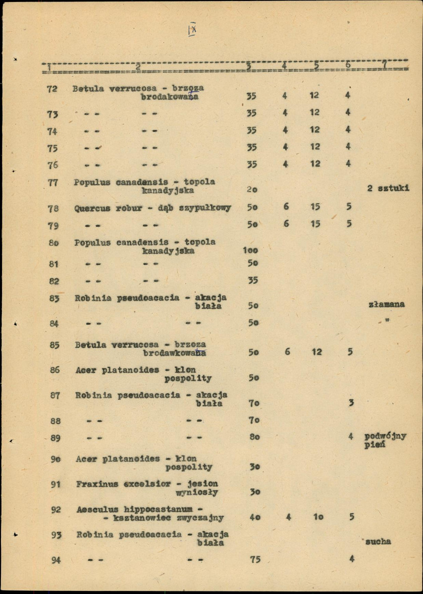 Ewidencja parkowa, skan nr 23