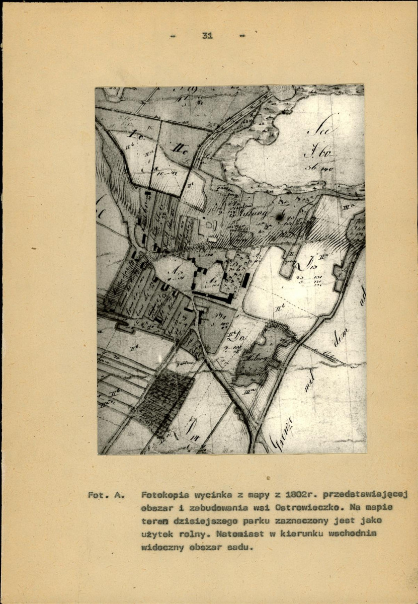 Ewidencja parkowa, skan nr 40