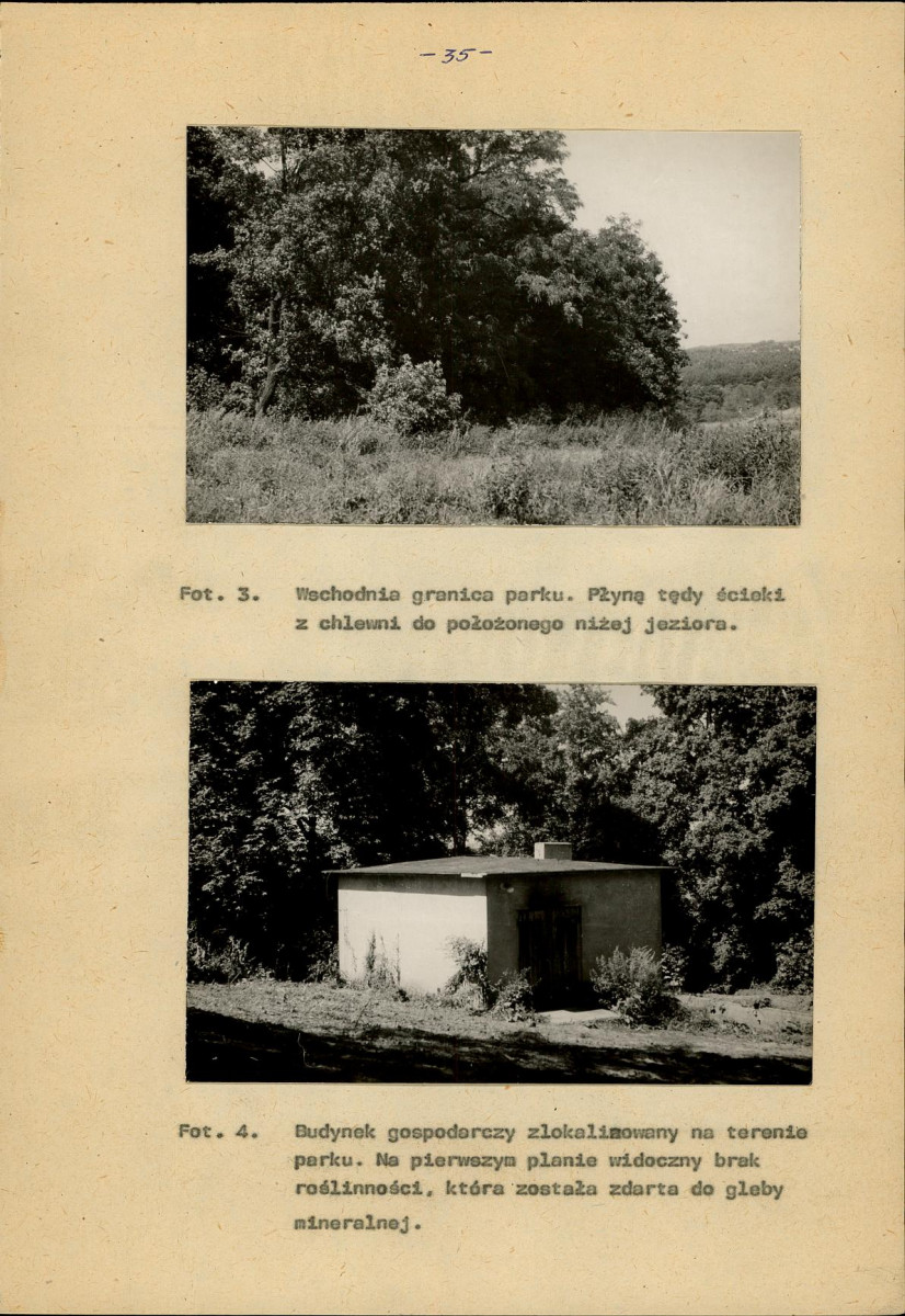 Ewidencja parkowa, skan nr 44