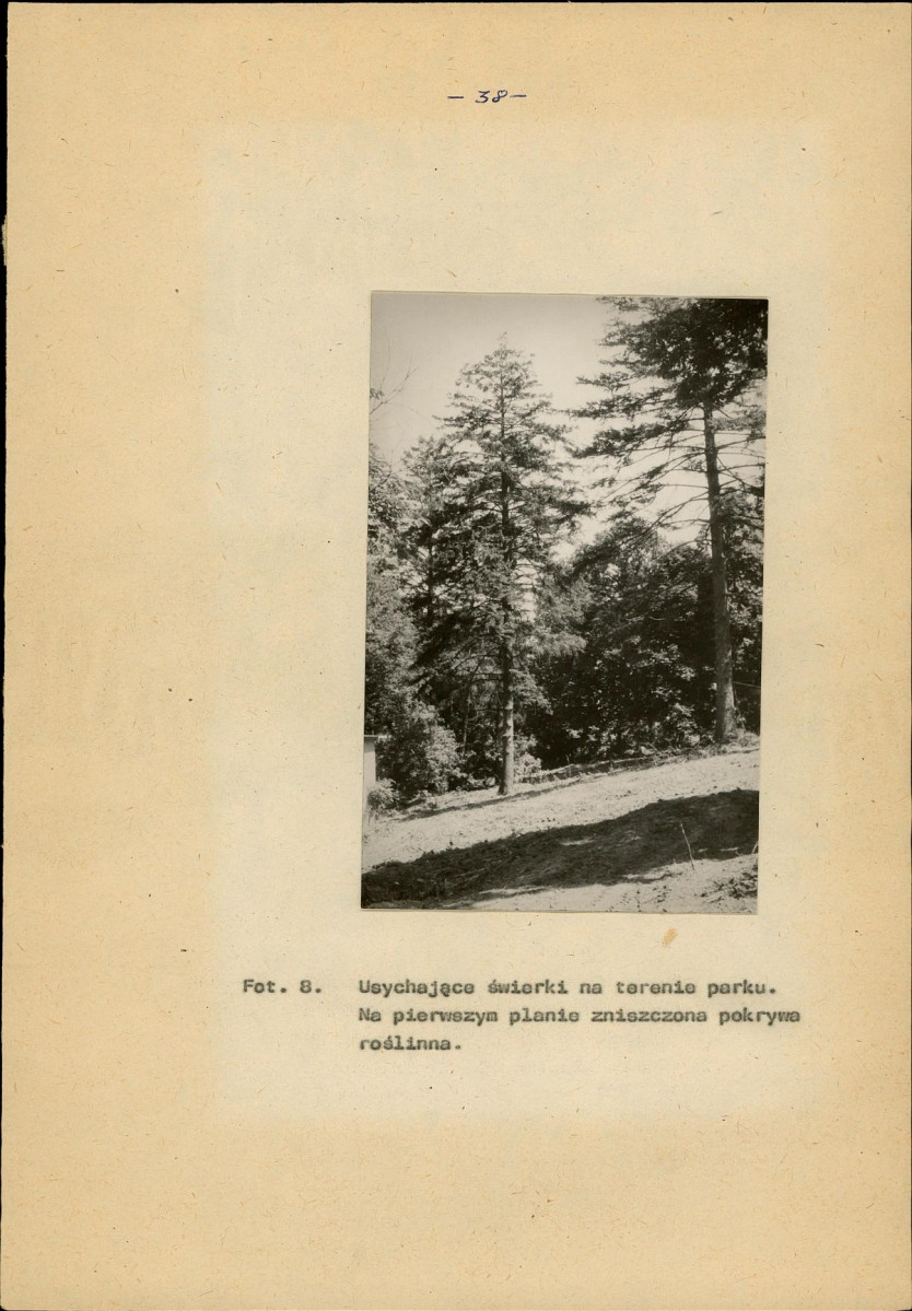 Ewidencja parkowa, skan nr 47