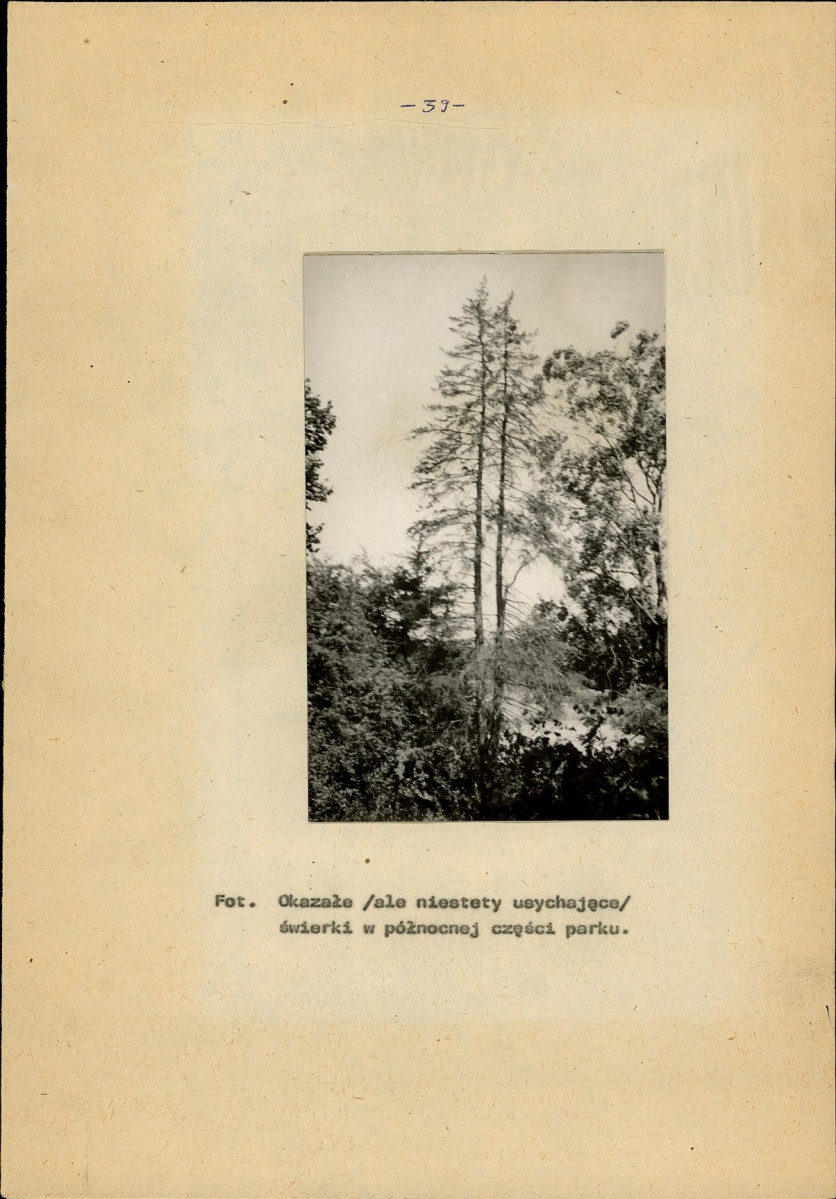 Ewidencja parkowa, skan nr 48