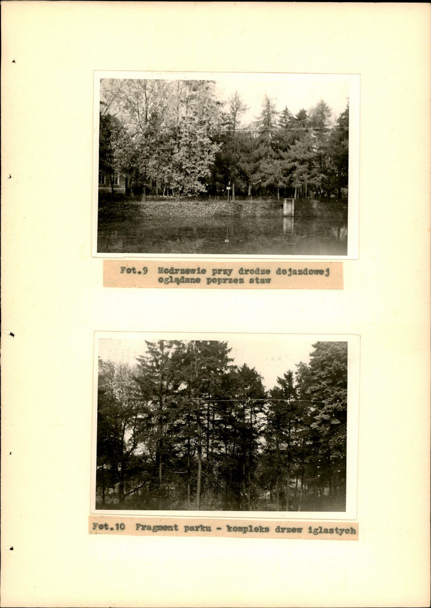 Ewidencja parkowa, skan nr 35