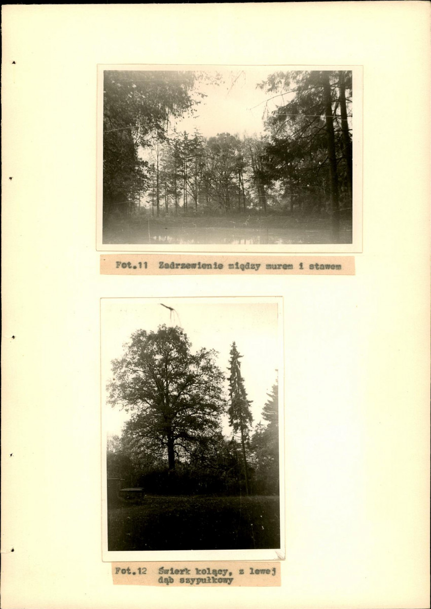 Ewidencja parkowa, skan nr 36
