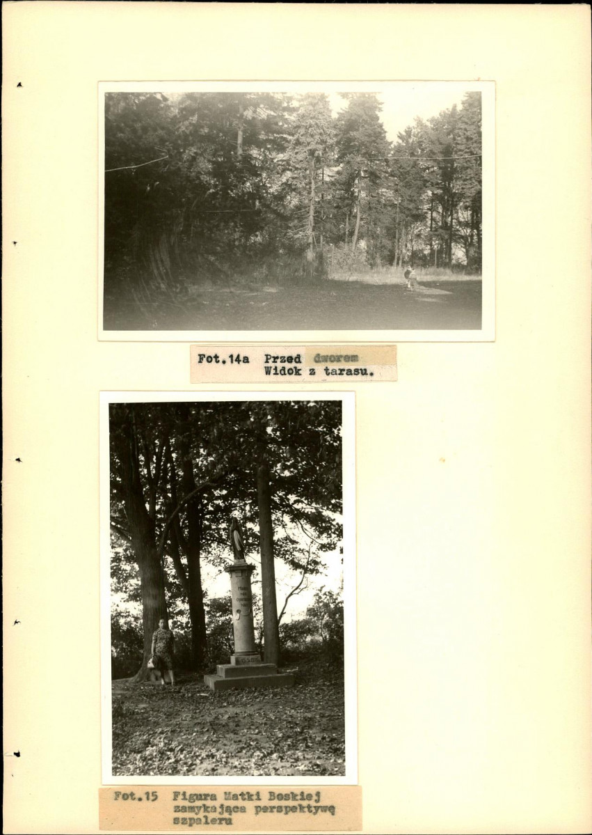 Ewidencja parkowa, skan nr 38