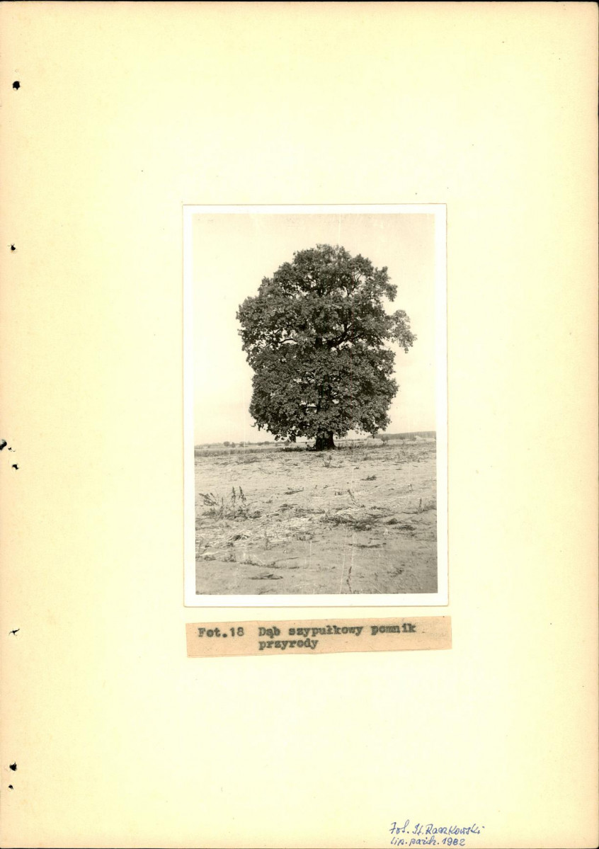 Ewidencja parkowa, skan nr 40