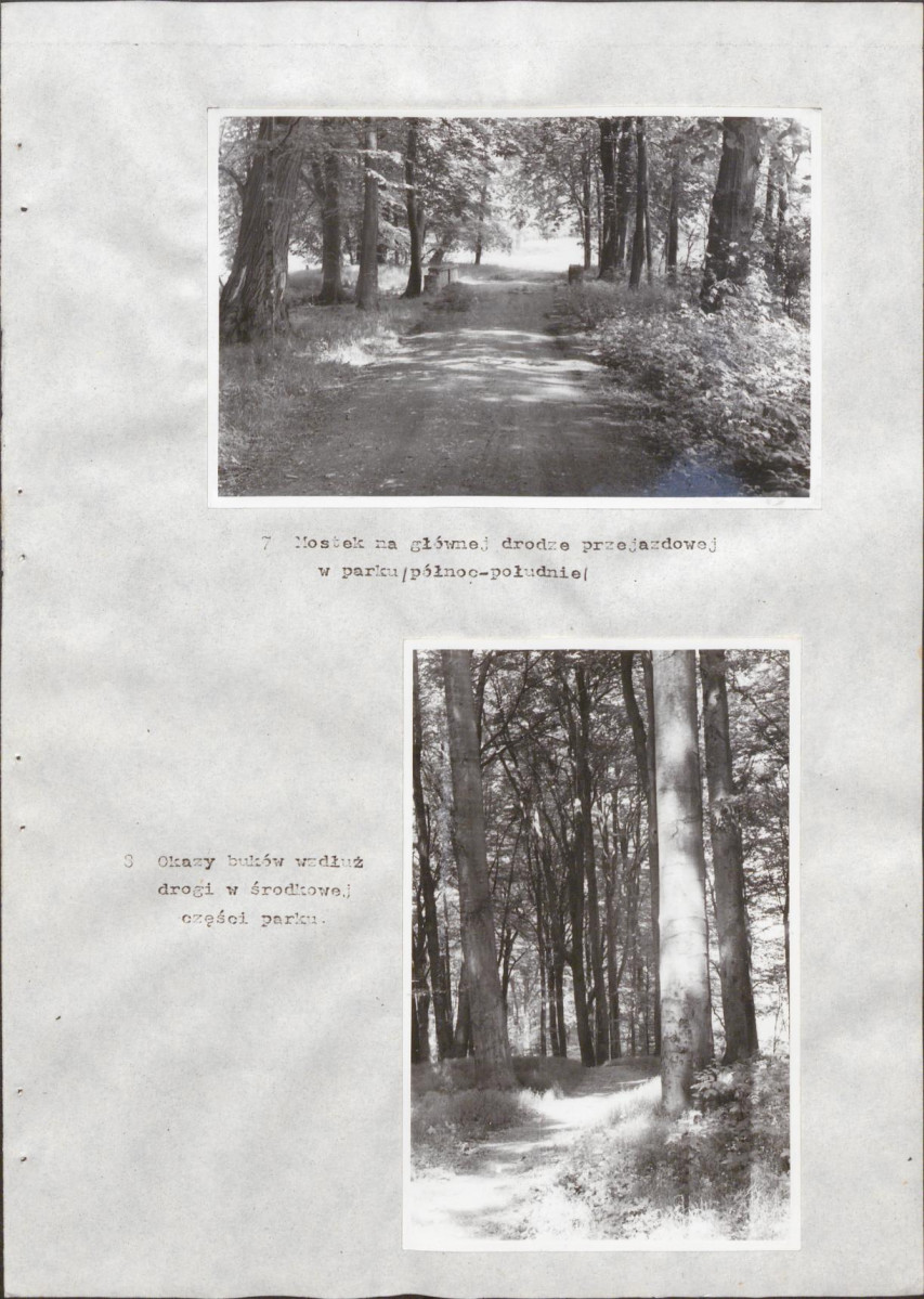 EP - Ewidencja parkowa, skan nr 42