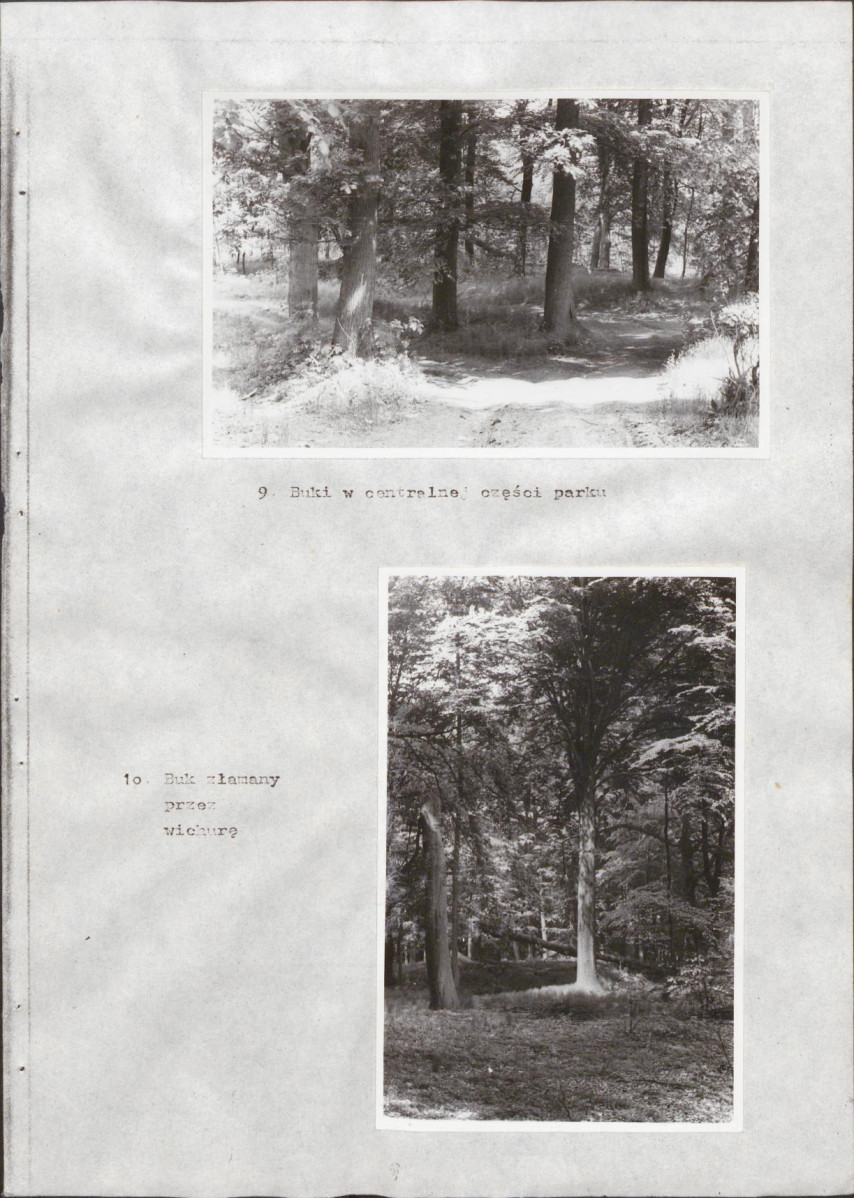 EP - Ewidencja parkowa, skan nr 43