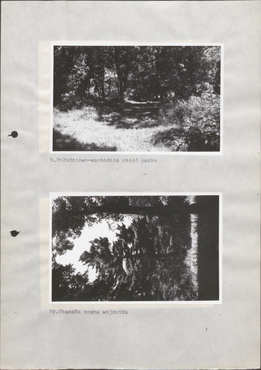 EP - Ewidencja parkowa, skan nr 28