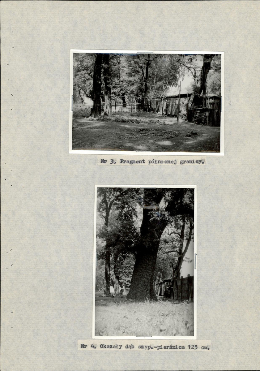 Ewidencja parkowa, skan nr 24