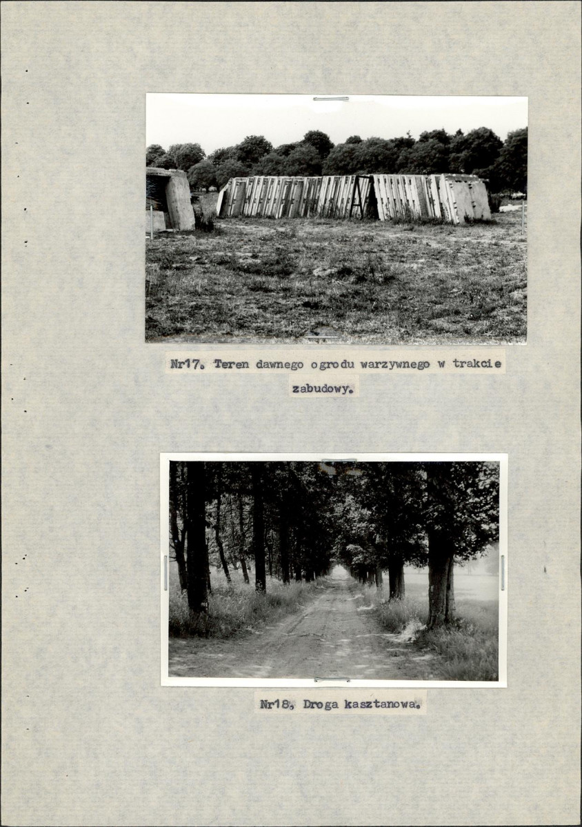 Ewidencja parkowa, skan nr 31