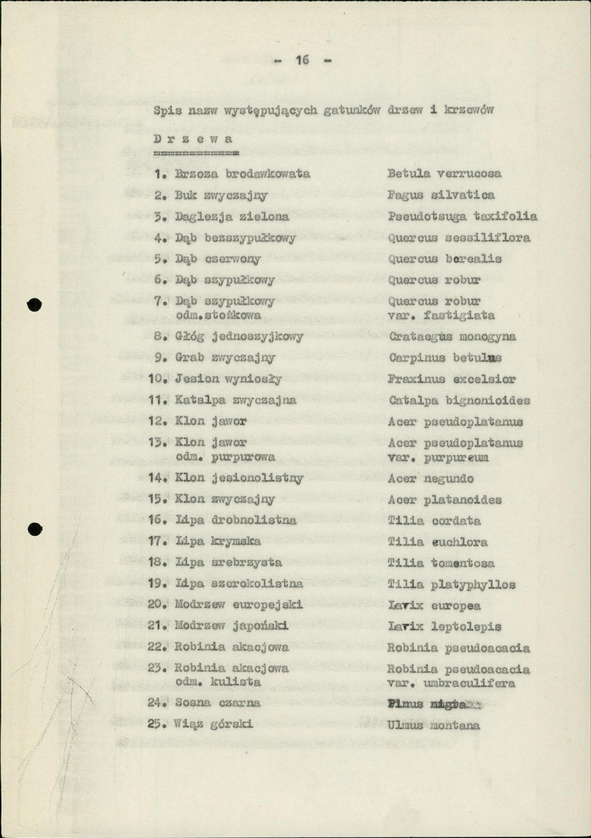Ewidencja parkowa, skan nr 23