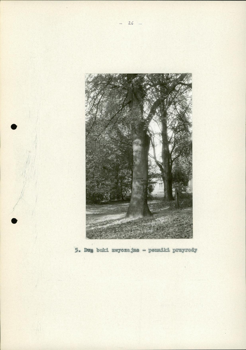 Ewidencja parkowa, skan nr 33