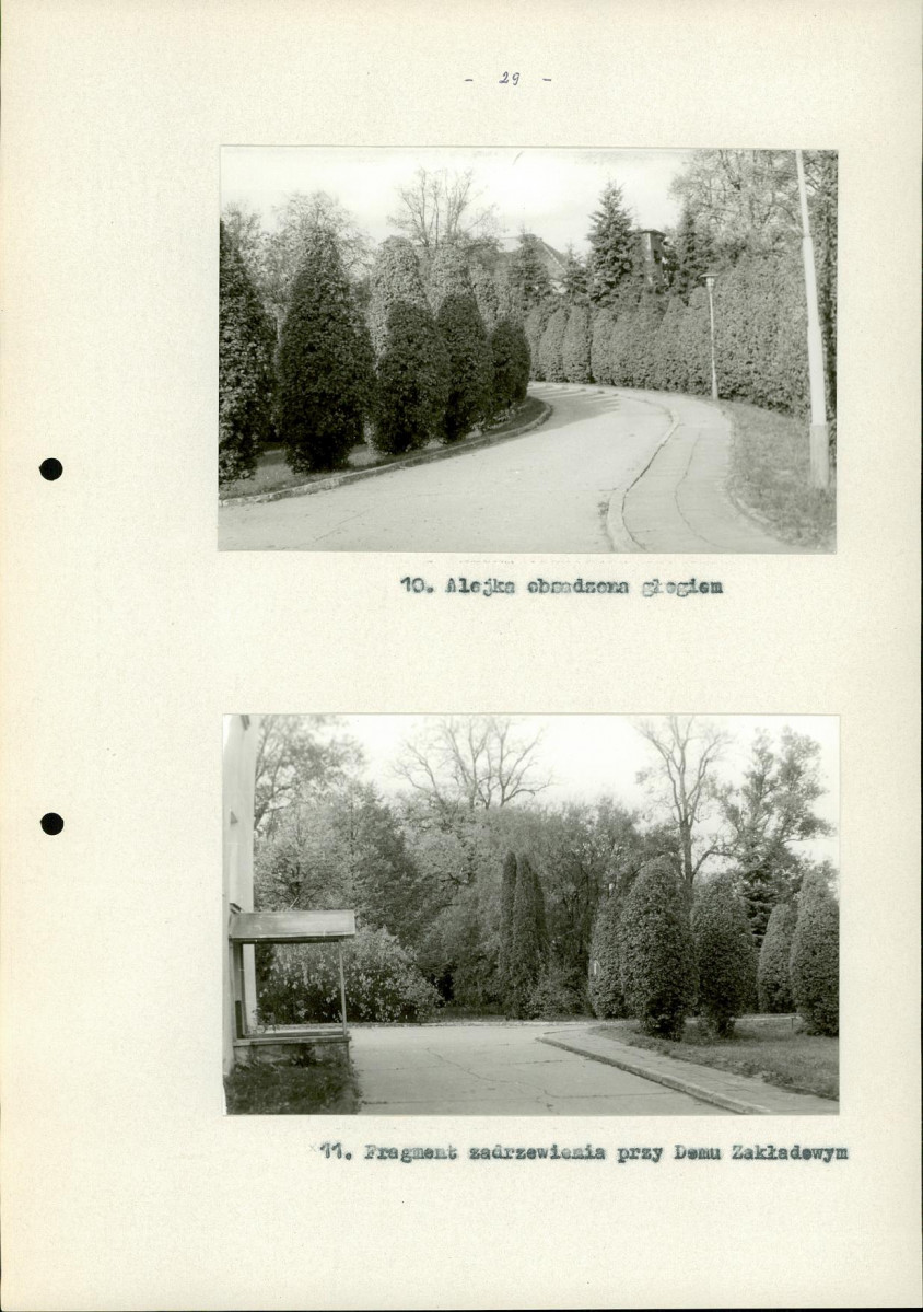 Ewidencja parkowa, skan nr 36