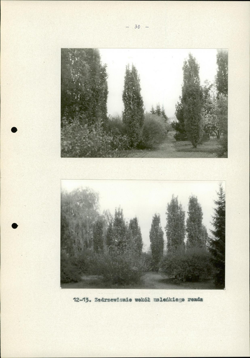 Ewidencja parkowa, skan nr 37