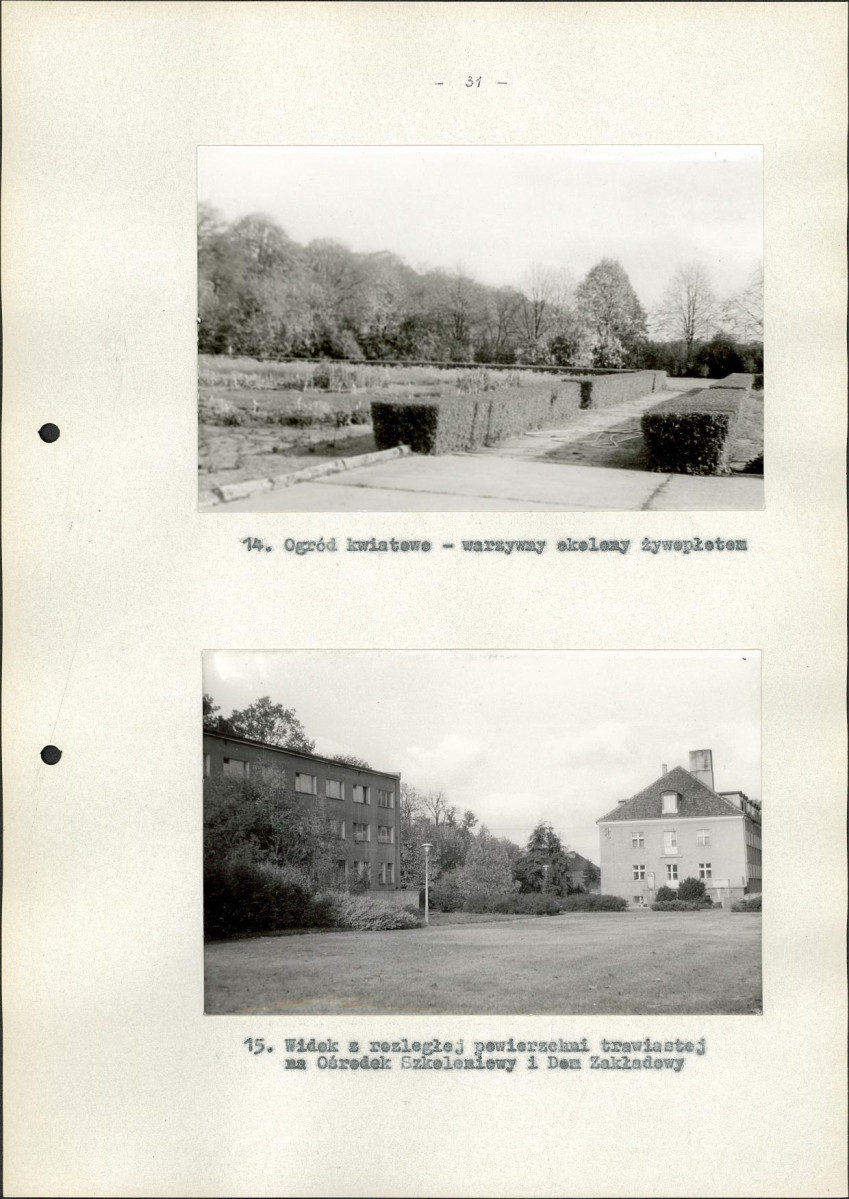 Ewidencja parkowa, skan nr 38