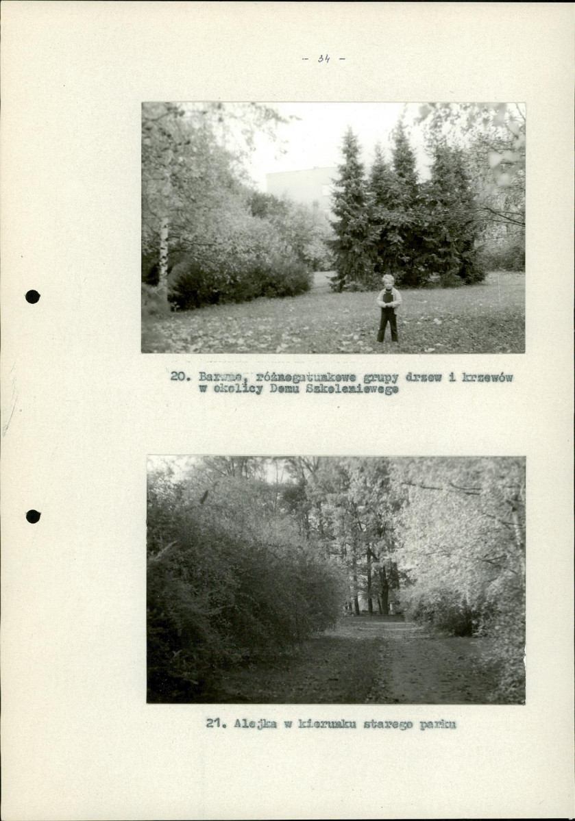 Ewidencja parkowa, skan nr 41