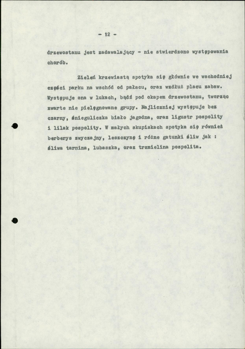 Ewidencja parkowa, skan nr 19