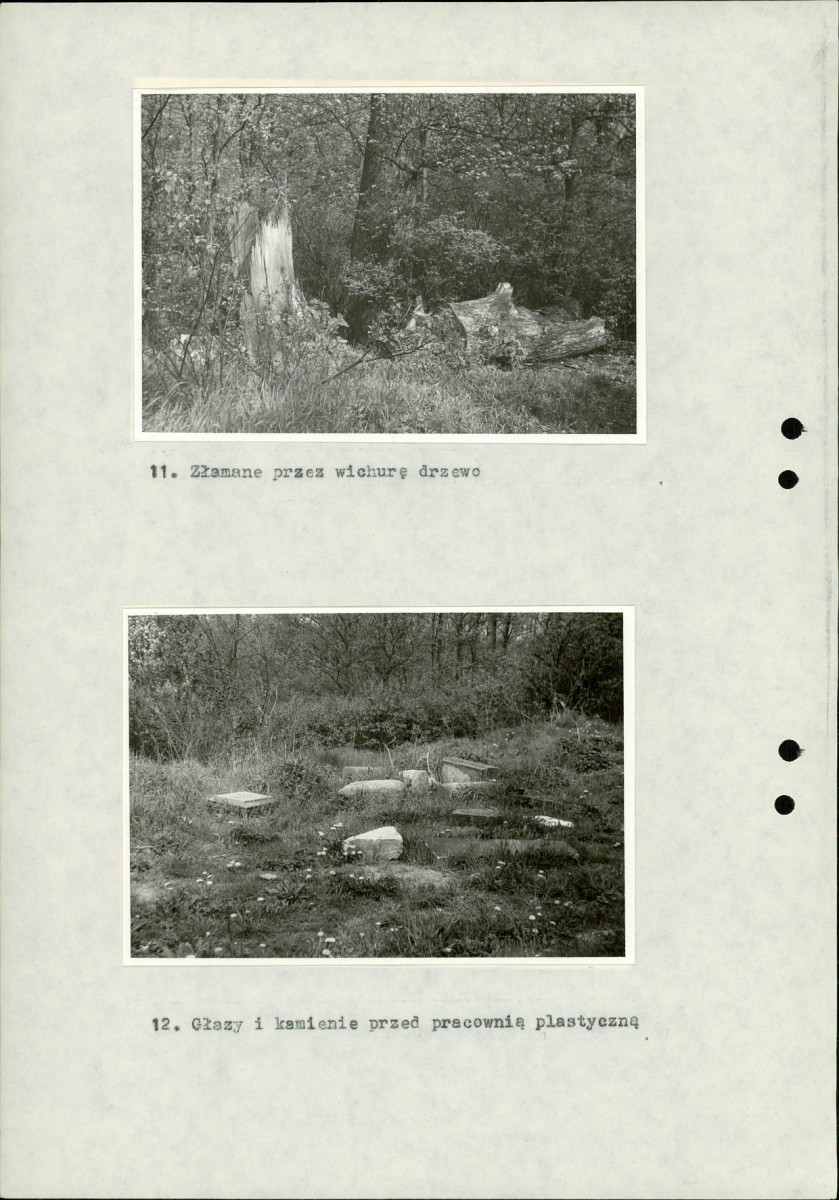 Ewidencja parkowa, skan nr 35