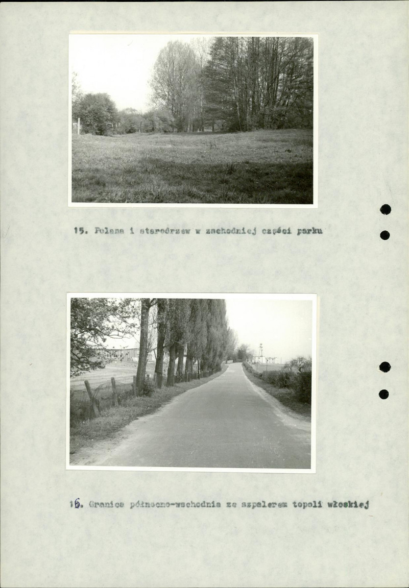 Ewidencja parkowa, skan nr 37