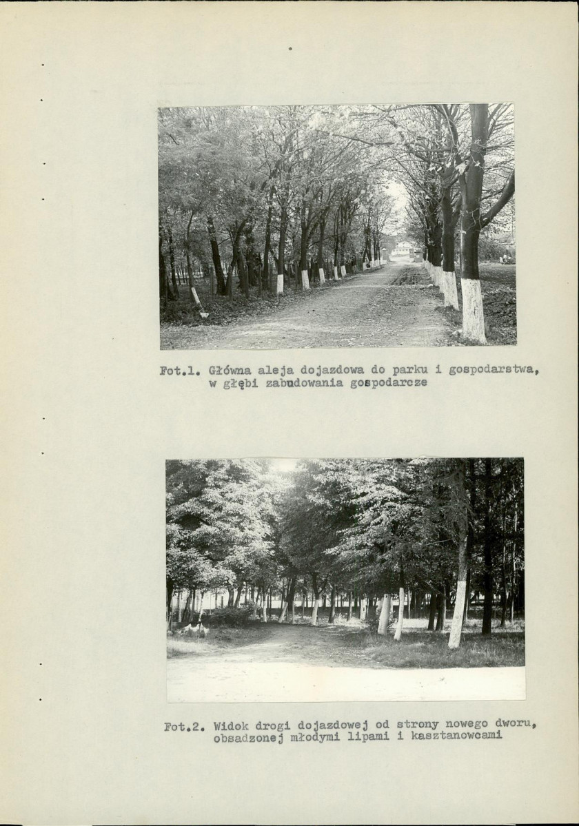 Ewidencja parkowa, skan nr 21