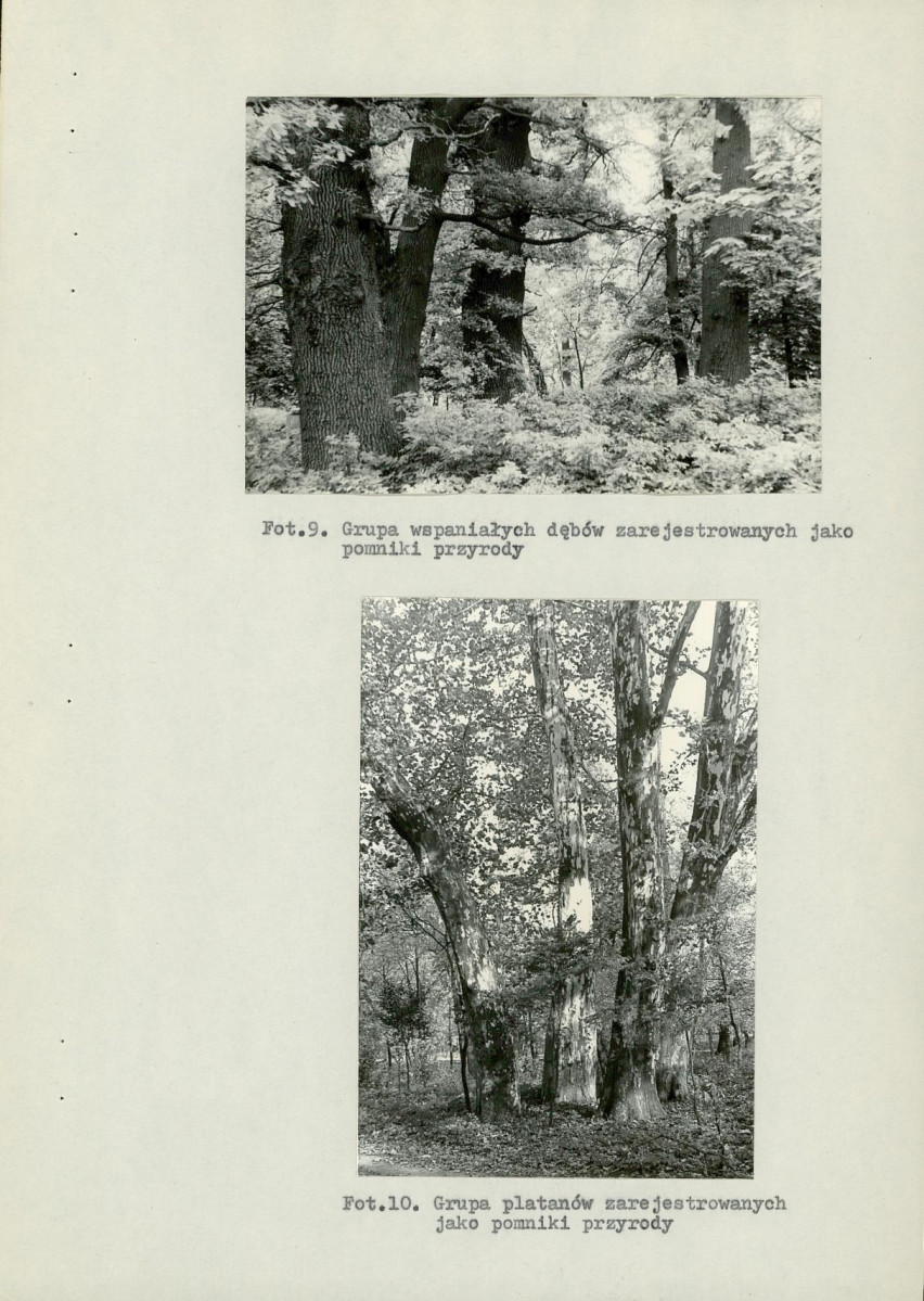 Ewidencja parkowa, skan nr 25