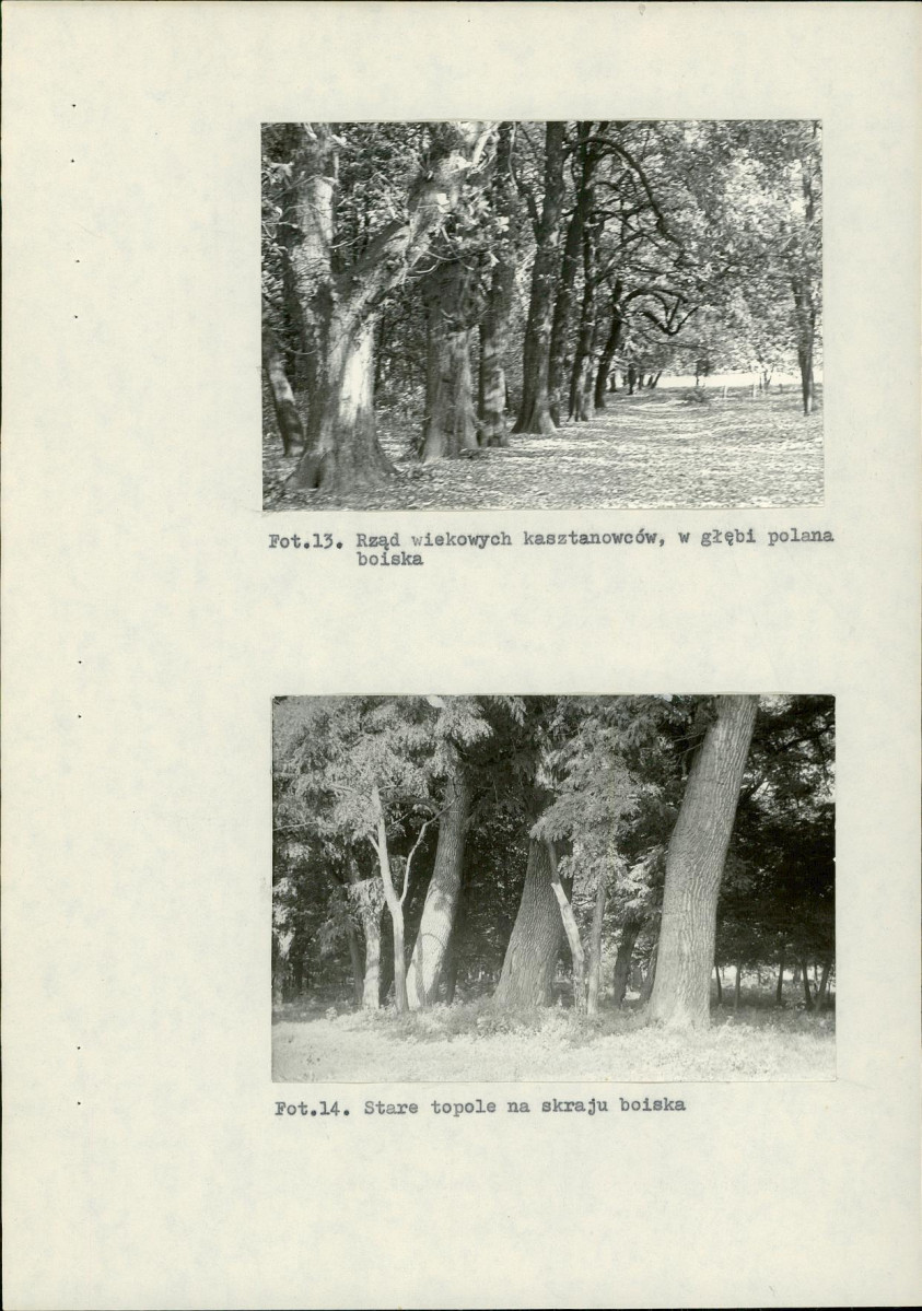 Ewidencja parkowa, skan nr 27