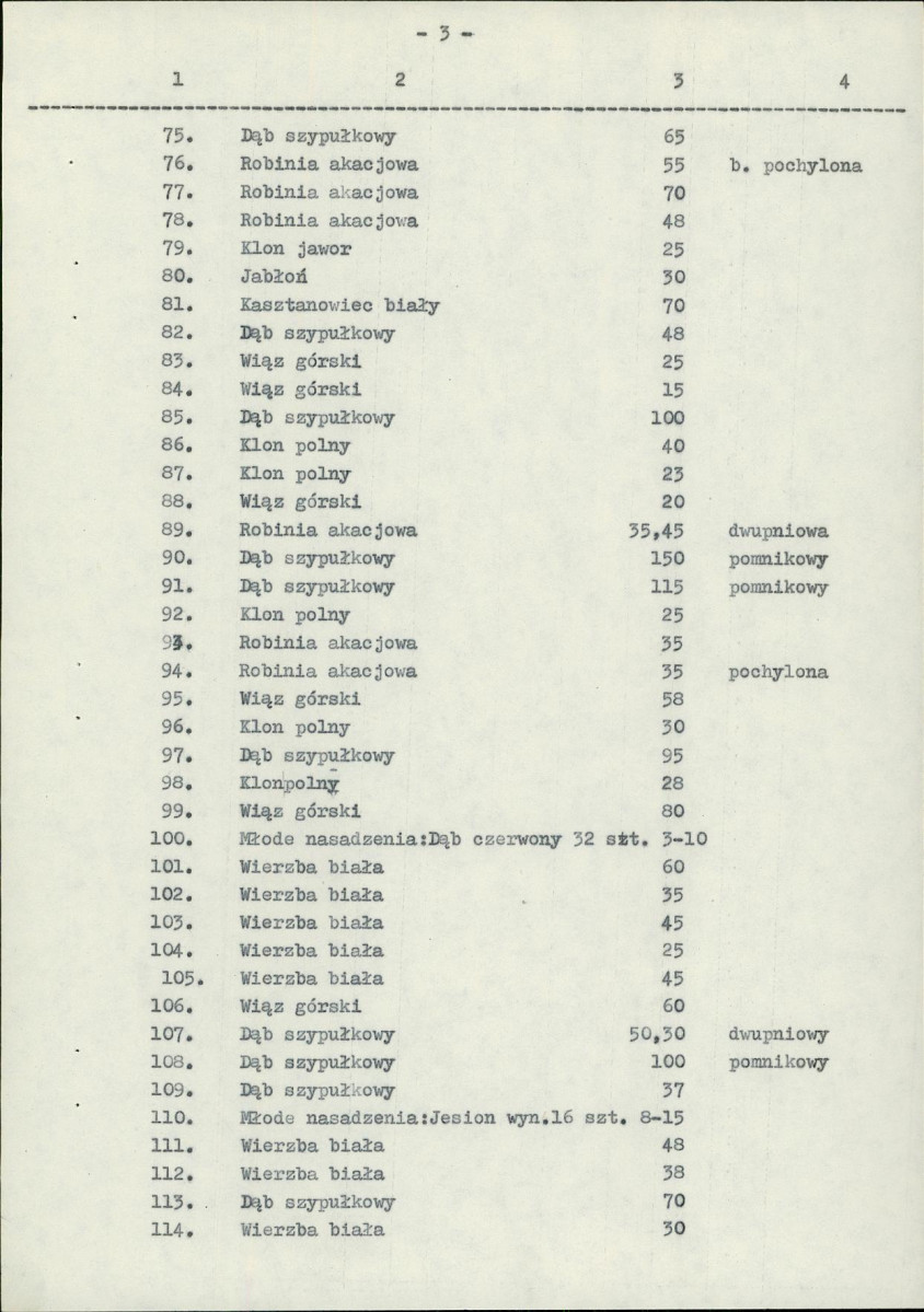 Ewidencja parkowa, skan nr 31