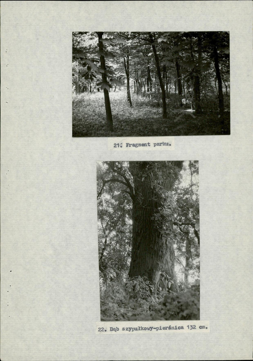 Ewidencja parkowa, skan nr 36