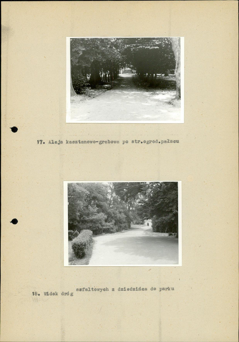 EP - Ewidencja parkowa, skan nr 36