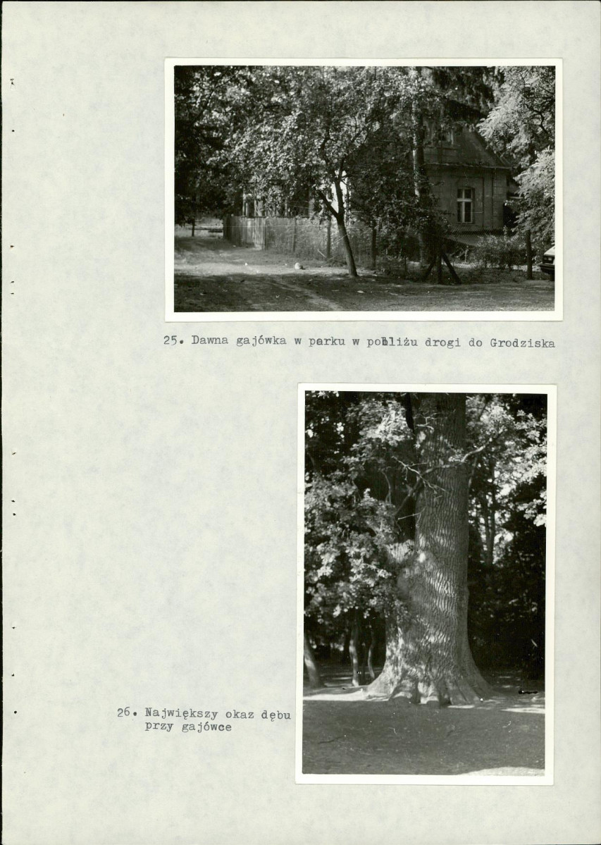 EP - Ewidencja parkowa, skan nr 65