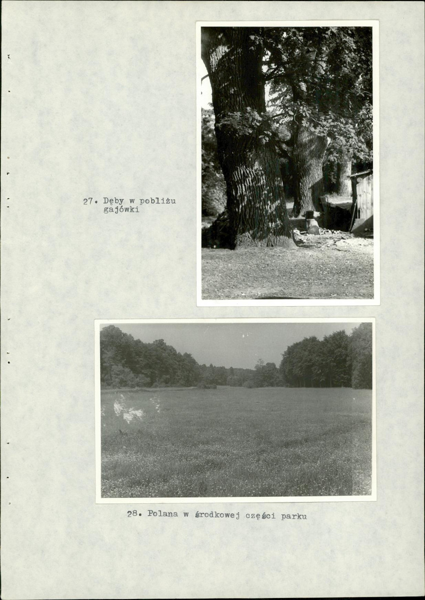 EP - Ewidencja parkowa, skan nr 66