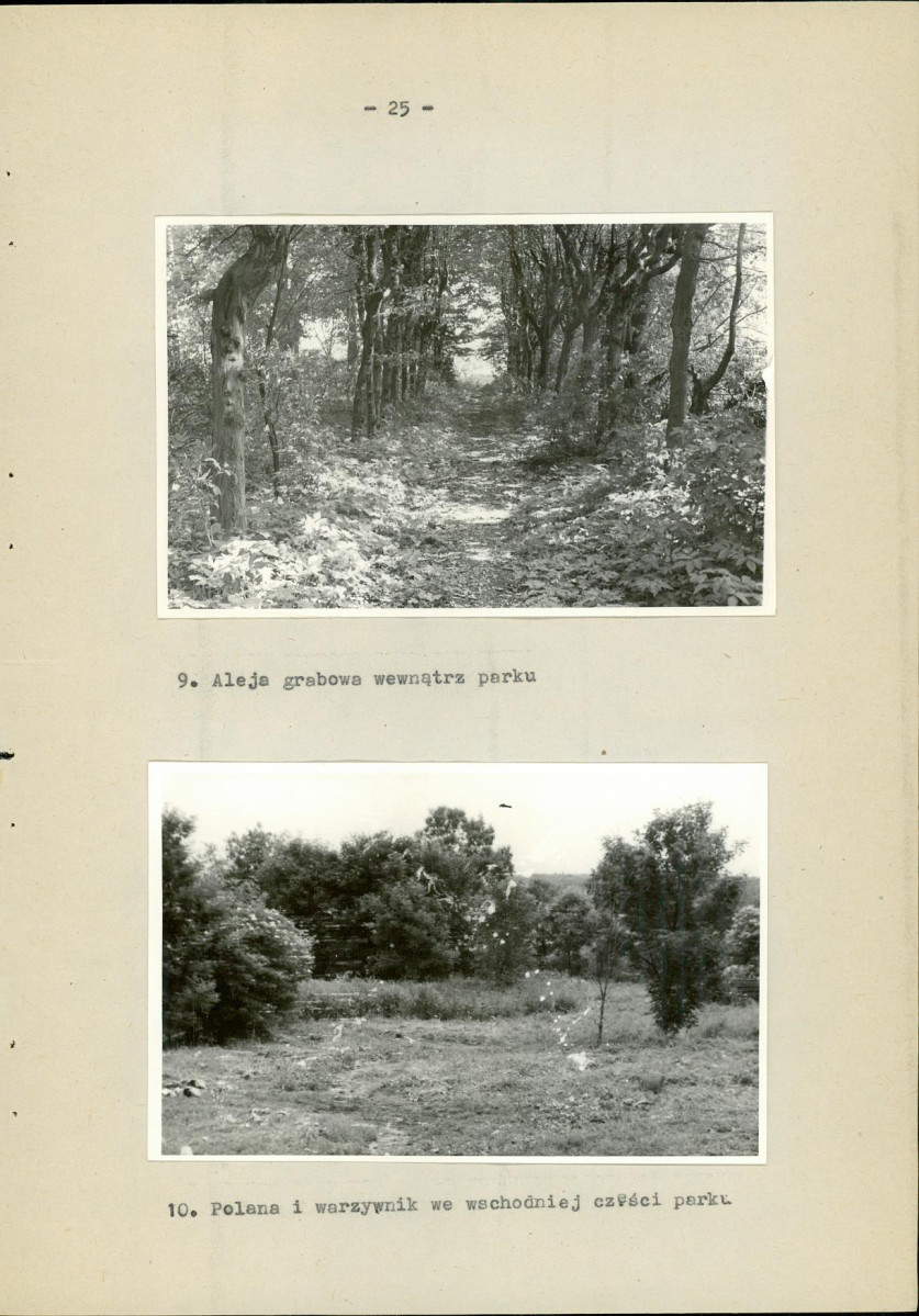 EP - Ewidencja parkowa, skan nr 34
