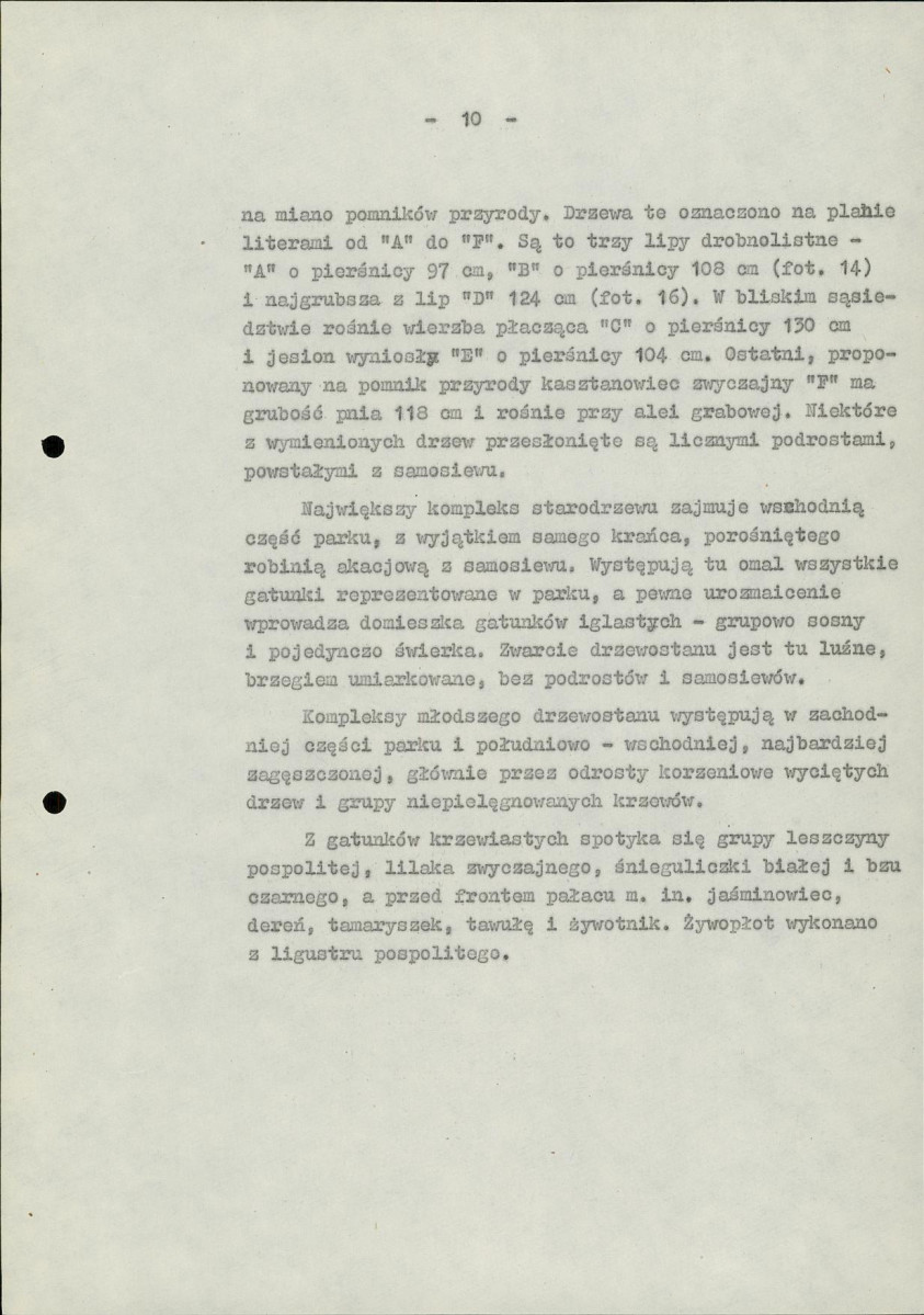 Ewidencja parkowa, skan nr 17