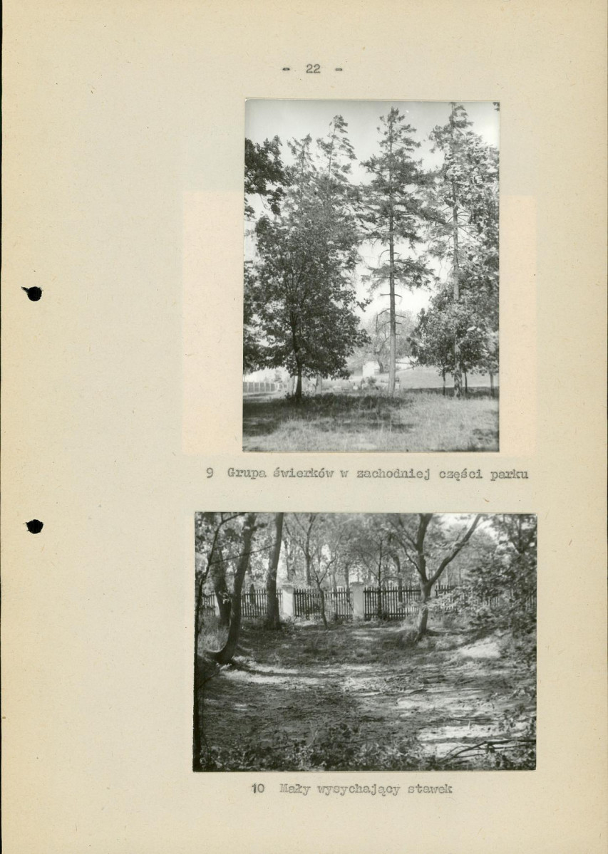 Ewidencja parkowa, skan nr 29