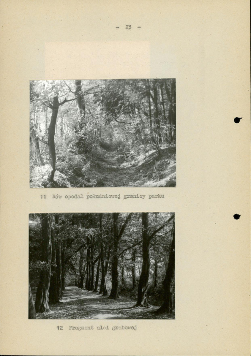 Ewidencja parkowa, skan nr 30