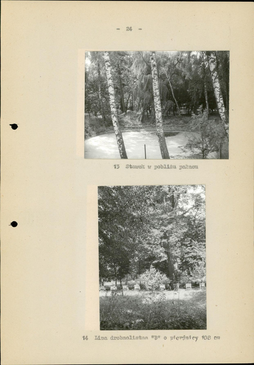 Ewidencja parkowa, skan nr 31