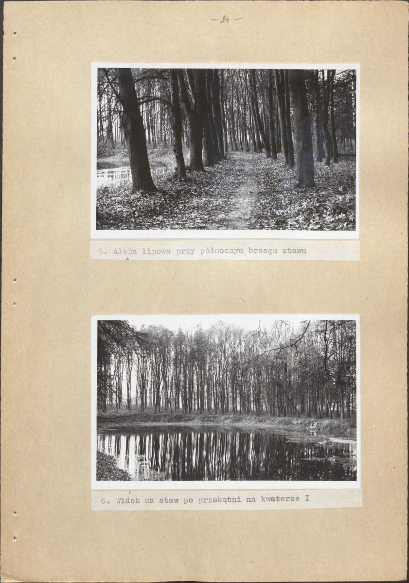 EP - Ewidencja parkowa, skan nr 29