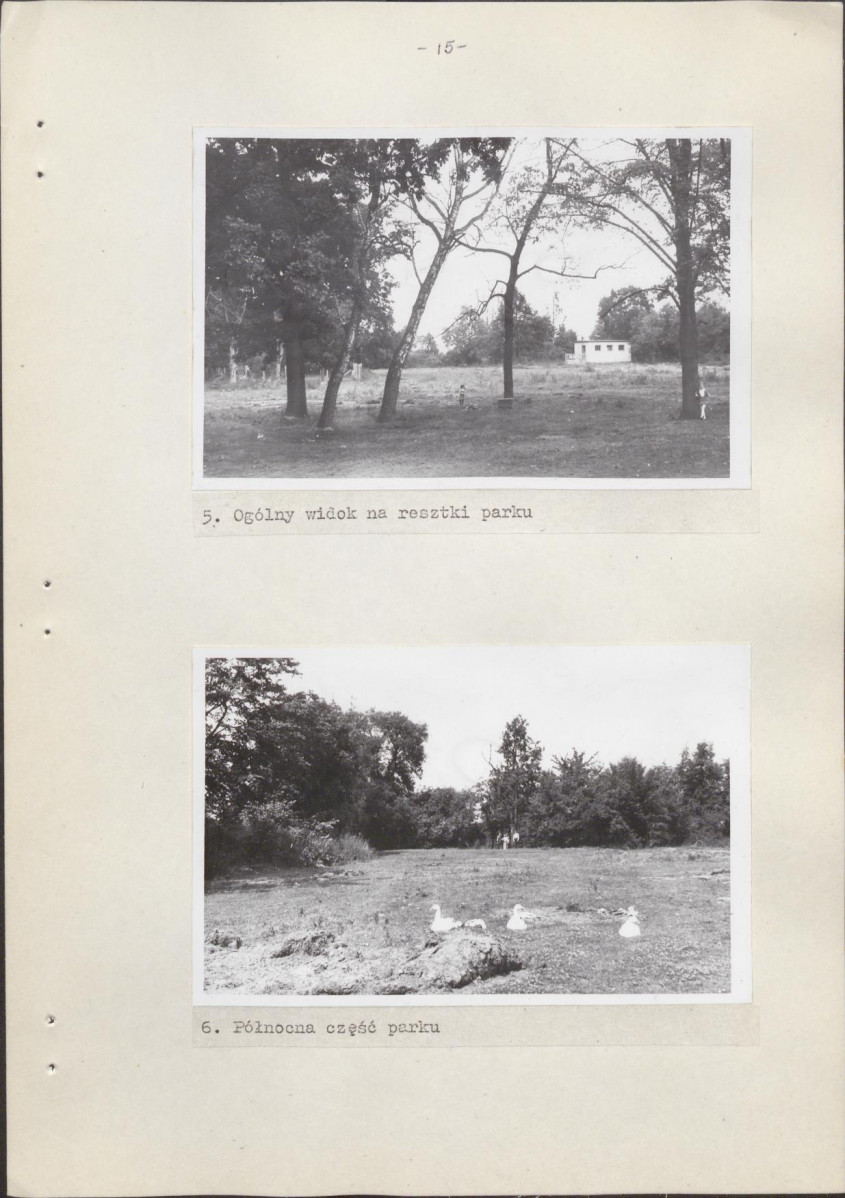 Ewidencja parkowa, skan nr 21