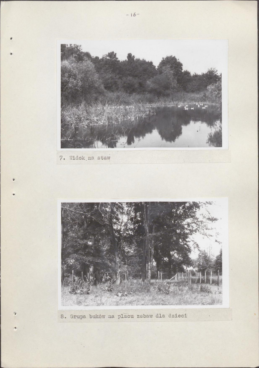 Ewidencja parkowa, skan nr 22